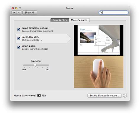 Technique for using magic mouse